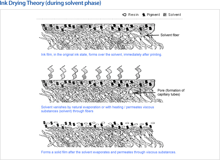 Ink Drying Theory (during solvent phase)