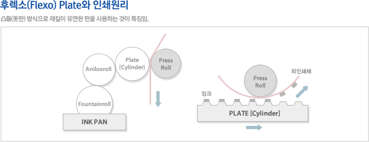 후렉소 Plate와 인쇄원리